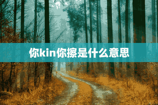 你kin你擦是什么意思